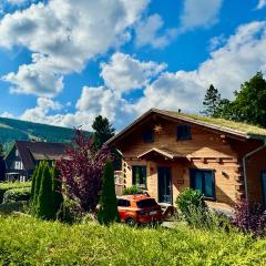 Harz - Blockhaus, 4 und 5 Sterne Blockhäuser, Sauna und Kamin, RH