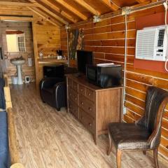 Bear Lane Cabin, Pets OK, Close to Skyway