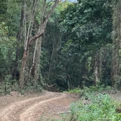Sítio da Sara com água mineral, rio e muito verde