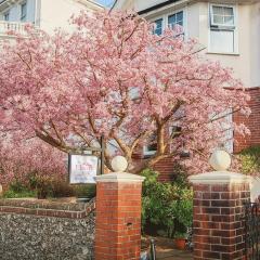 チェリーツリーゲストハウス（The Cherry Tree Guest House）