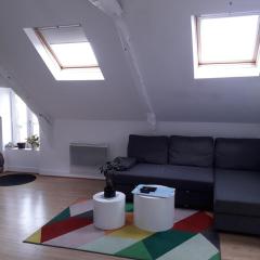 Un nid cosy sous les toits