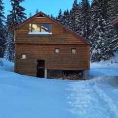 GAGO’S WOODEN HOUSE