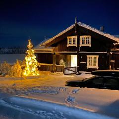 Lovely Home In Aurdal With Sauna