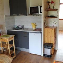 Appartement proche Thermes avec WiFi et animaux admis - FR-1-541-189