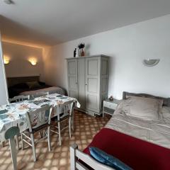Studio confortable entre centre-ville et Thermes avec WIFI - FR-1-541-190