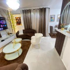 Stylish Luxe Apartment 10 mn to the Int Airport