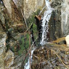 Morning mist holidays Thusharagiri