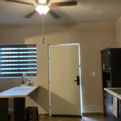 LiV109 Norte Depa 8 Cd Obregon