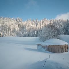 Séjours nature et bien être en YOURTE
