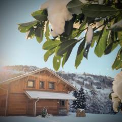 Chalet moderne et cosy en bois, sauna, terrasse et vue montagne