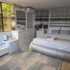 Apelles Palace Guest House - executive room 2