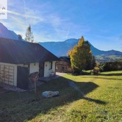 Holiday home in Bad Aussee - Steiermark 55006