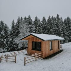 Ferienhaus "Moosgrün" - Tiny House Urlaub