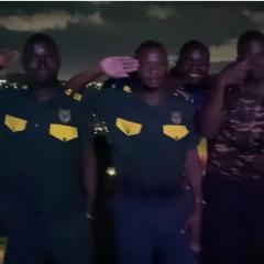 Whitehouse- Two palms