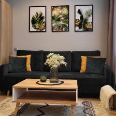 Studio - Apartamenty Parkowe