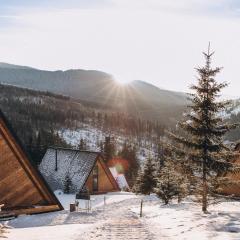 УЛІС Ворохта