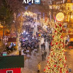 Pedestrian Street Center Apartment
