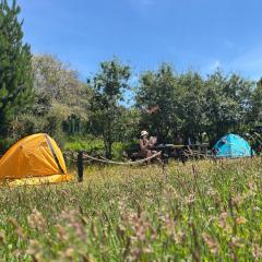 Muelle del Tiempo Camping