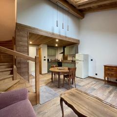 Appt 4 pers, 2 min Ski et Commerce