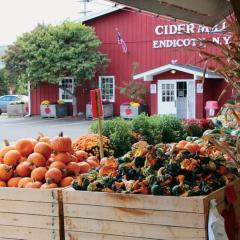 Pleasant, Comfortable PR Near Vestal NY