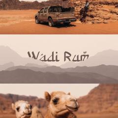 Camp in the natural reserve & tours