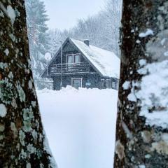 Edison,Plitvice Lakes