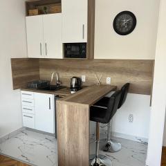 Apartment Zvezda & parking 36