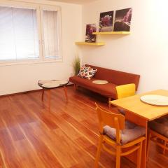 Byt ve Zdechovicích