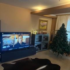 Ava Apartment Pamporovo