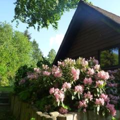 Holiday home in Süttorf with swimming pool