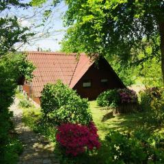 Holiday home in Süttorf with swimming pool