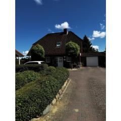 Michael's Elbe Dream