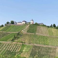 Pünderich Castle View
