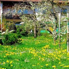 Holiday apartment with 1 bedroom