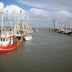 5 minutes to the North Sea beach