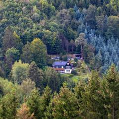 Tannenhäuschen Sauerland