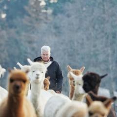 Holiday home in Windeck with swimming pool