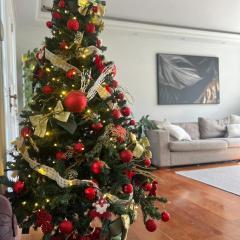 Casa Premium para Natal e Ano Novo