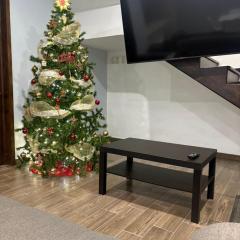 Silver Mountain House