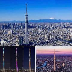 THE東京和風旅館 空港直通京成線駅1分 映画室 Wifi 近スカイツリー浅草上野銀座ディズニー 八広201