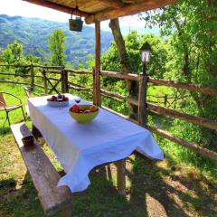 Rustic Holiday Home in Ortignano with Swimming Pool