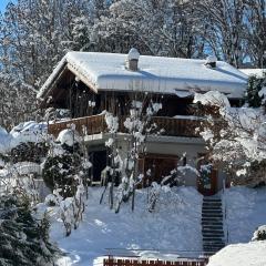 Mirador Alpine Horizon -Crans Montana- Swiss Alps