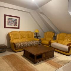 Appartement cosy au cœur de Colmar