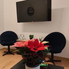 Stylish apartment, top center with private Sauna