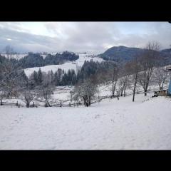 Оселя тихої долини