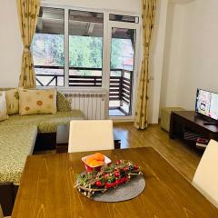 Forest Retreat, Stream Resort, Pamporovo