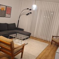 Nice and cozy apartment