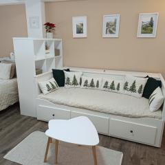 Apartmán 29 LANOVKA