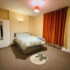 The Albert, Montpellier