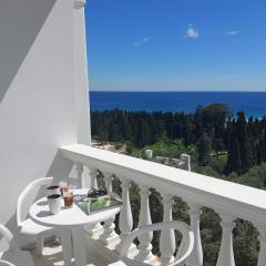 Dimitra's Pretty Apartment 4 klm away from Chora